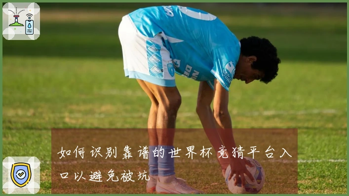 如何识别靠谱的世界杯竞猜平台入口以避免被坑