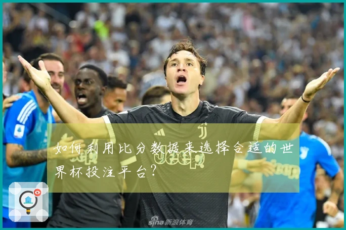 如何利用比分数据来选择合适的世界杯投注平台？