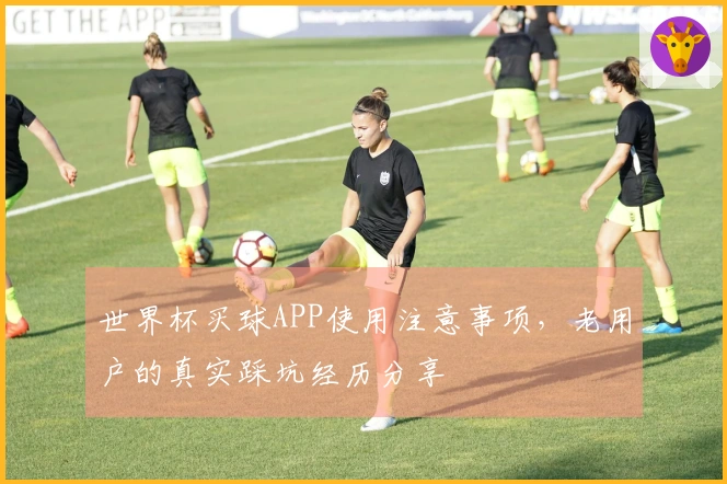 世界杯买球APP使用注意事项，老用户的真实踩坑经历分享